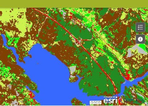 CLC+ land cover layer in the Copernicus map viewer