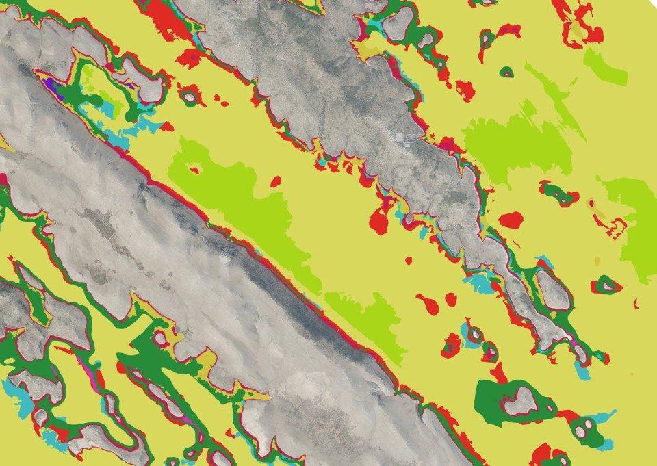 Benthic habitat map combining Oikon mapping with acoustic survey data