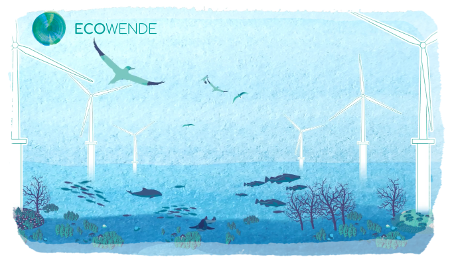 Illustration of an offshore wind farm with seabirds above the water and fish and reefs below