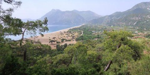 Pine covered hillside above the beach and valley at Cirali on the Turkish coast