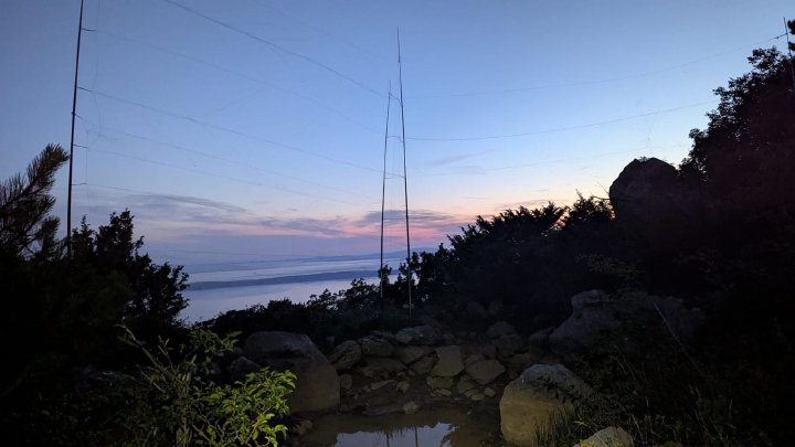 Mist nets for bird ringing at dusk
