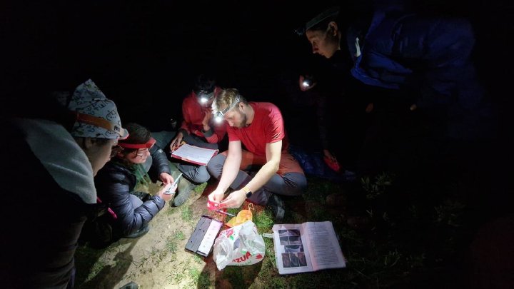Night-time field survey by headlamp